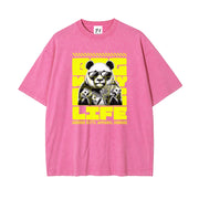 https://custom.jomalls.com/shengchengtu/xiaoguotu/20260901/1788245952555Dvz255lDld6FpfWx.jpg