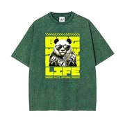 https://custom.jomalls.com/shengchengtu/xiaoguotu/20260901/1788245954994Mh0cdiuWJiadgCLH.jpg